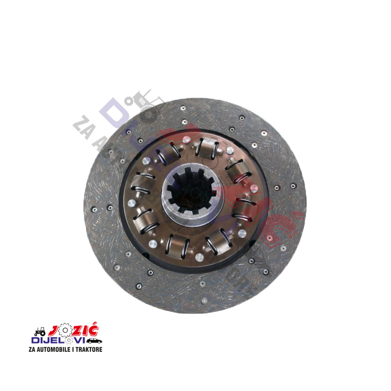 Daisy on the Ohoopee